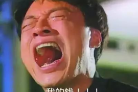 怀安怀安讨债公司服务